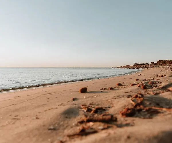 Fior Di Sardegna Posada (Sardinia)