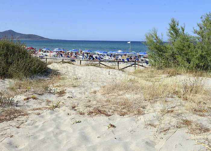 Fior Di Sardegna