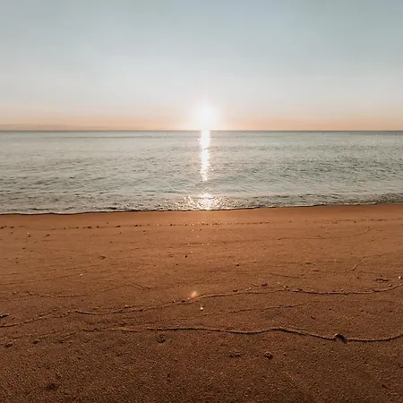 Fior Di Sardegna 호텔 포사타